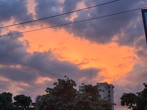 квартира за адресою Академіка Палладіна просп., 18/30