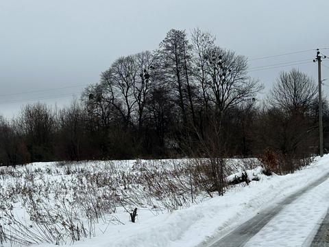 участок по адресу Довга