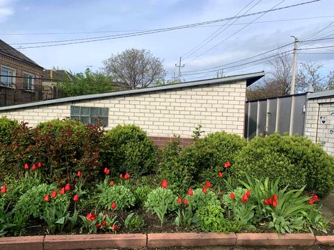 дом по адресу Добролюбова ул.