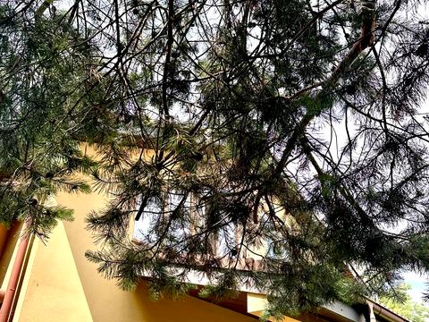 будинок за адресою Хрещатик