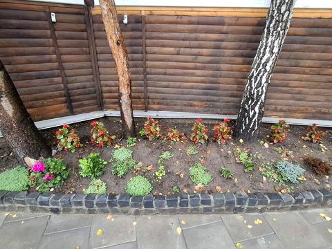 коммерческая по адресу Евгения Максимовича ул., 18