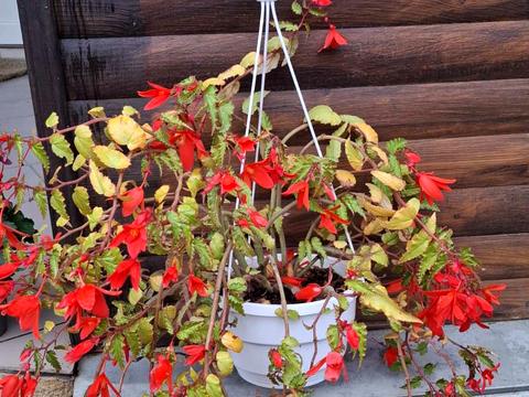 коммерческая по адресу Евгения Максимовича ул., 18