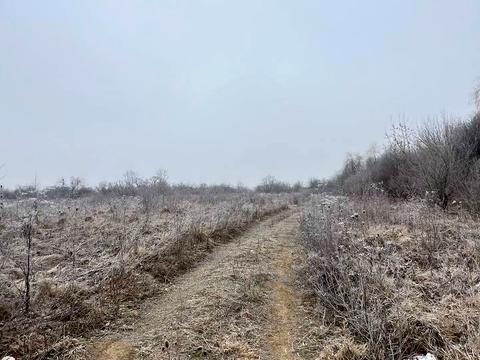 ділянка за адресою Урожище вільхи