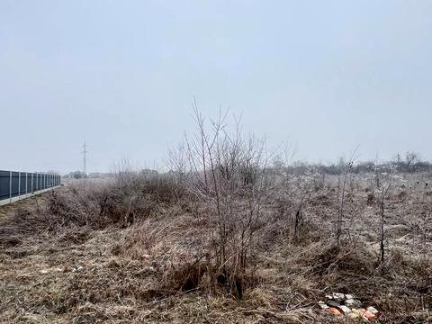 ділянка за адресою Урожище вільхи