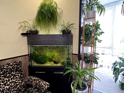 квартира по адресу Ивана Пулюя ул., 40, к. 1