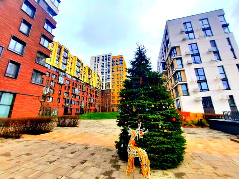 квартира по адресу Салютная ул., 2к6