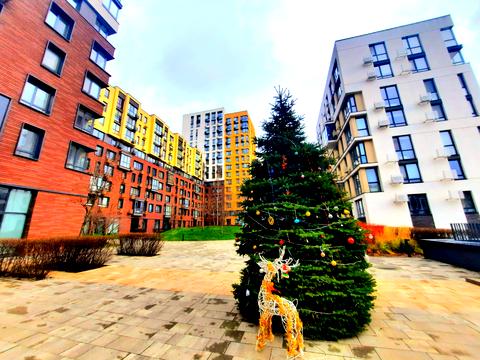 квартира по адресу Салютная ул., 2к6