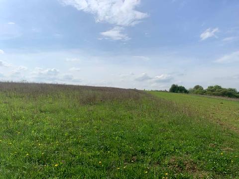 ділянка за адресою с. Новосілка, 