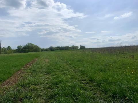 ділянка за адресою с. Новосілка, 