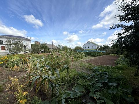 дом по адресу Софіївська ул.