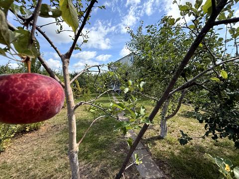 дом по адресу Софіївська ул.