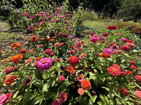 дом по адресу Софіївська ул.