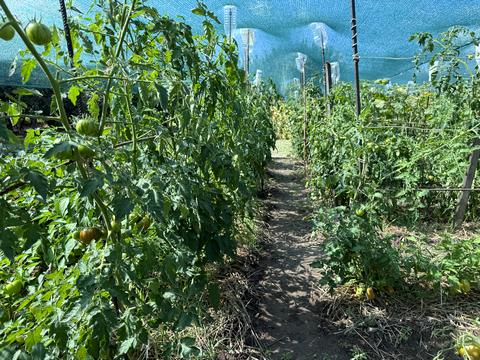 дом по адресу Софіївська ул.