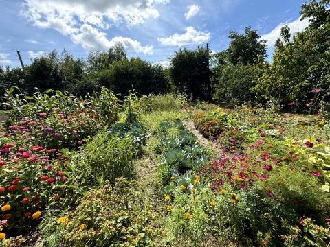 дом по адресу Софіївська ул.