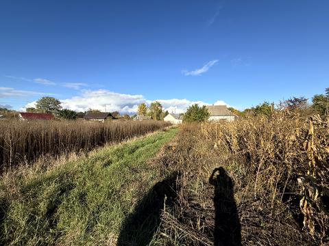 дом по адресу Визволителів