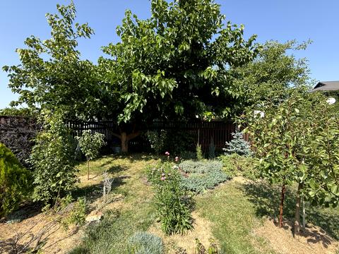 дом по адресу Грушевського