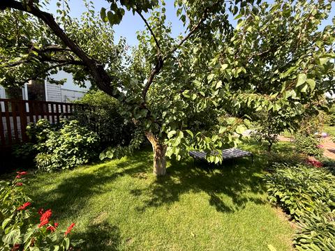 дом по адресу Грушевського