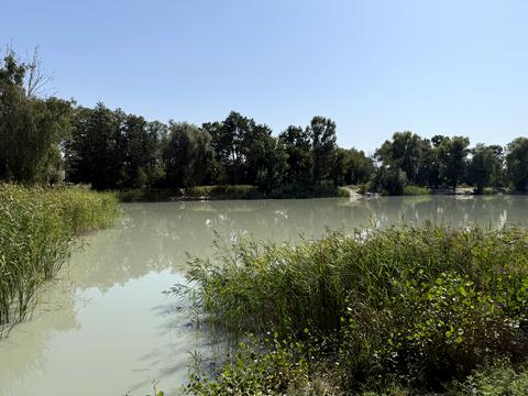 дом по адресу Грушевського