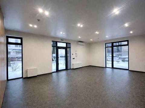 комерційна за адресою Незалежності вул., 99