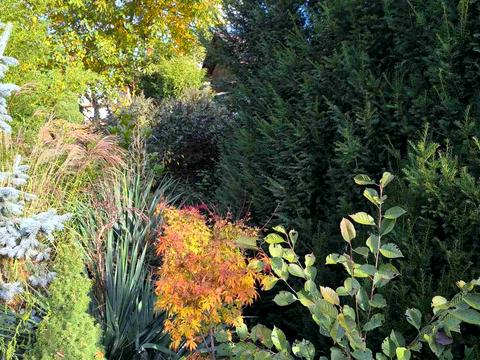 дом по адресу Абрикосовая ул.