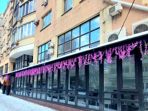 комерційна за адресою Дмитрівська вул., 46