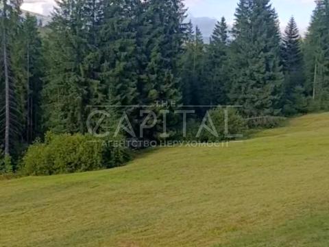 участок по адресу с. Яблоница, 