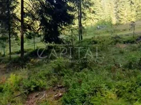 участок по адресу с. Яблоница, 