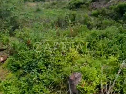 участок по адресу с. Яблоница, 