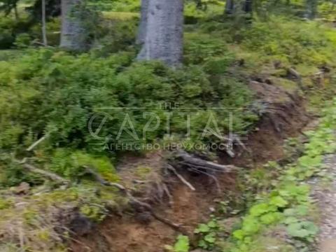 участок по адресу с. Яблоница, 