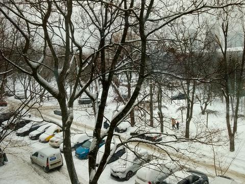 квартира за адресою Миколи Василенка вул., 17-А