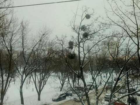 квартира за адресою Миколи Василенка вул., 17-А