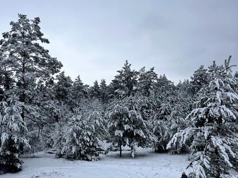 квартира за адресою Центральна вул., 1