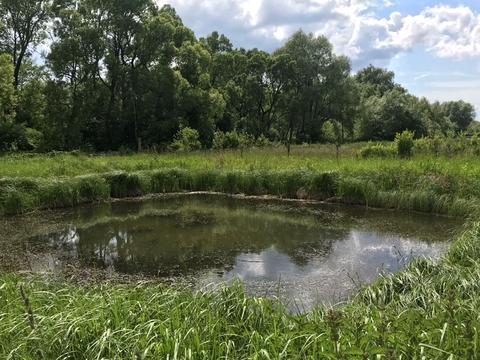 участок по адресу 