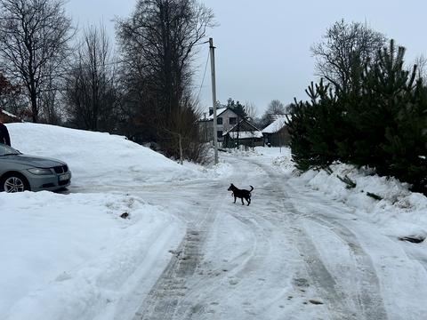 участок по адресу Зелена