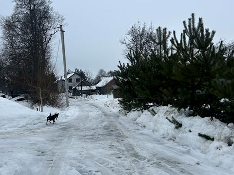 участок по адресу Зелена