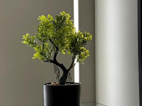 квартира за адресою Бельведерська вул., 32-Б