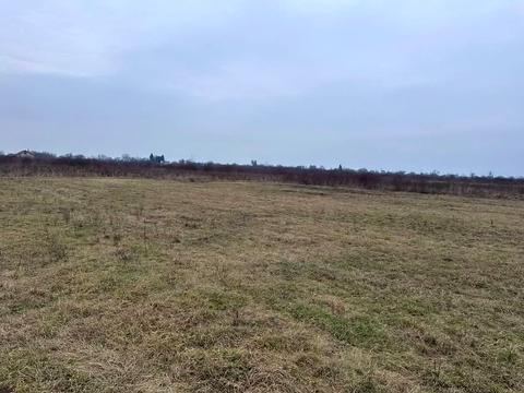 ділянка за адресою с. Тарнівці, 