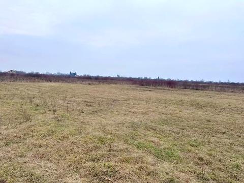 ділянка за адресою с. Тарнівці, 