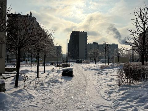 квартира за адресою Березова вул., 43