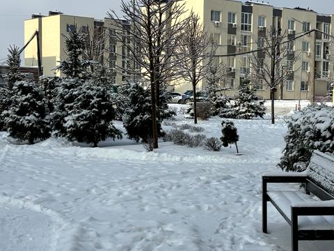 квартира за адресою Березова вул., 43