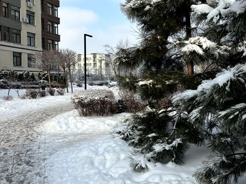 квартира за адресою Березова вул., 43