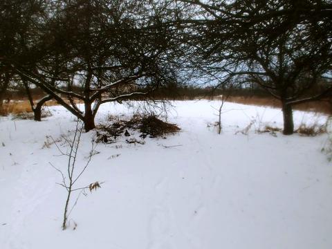 дом по адресу Широка