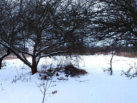 дом по адресу Широка