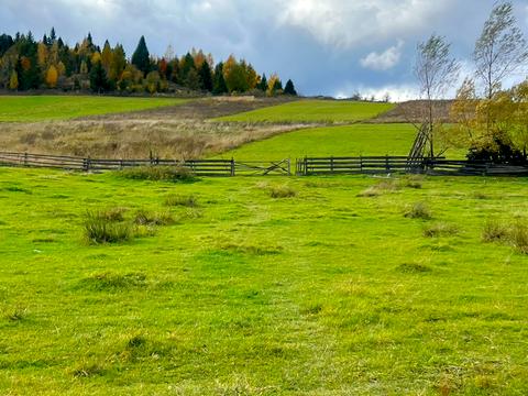 ділянка за адресою с. Гукливий, 