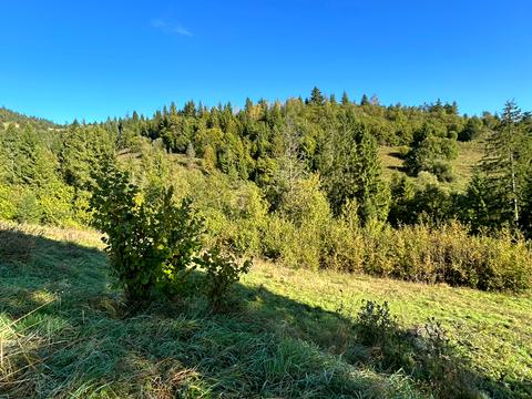 участок по адресу 