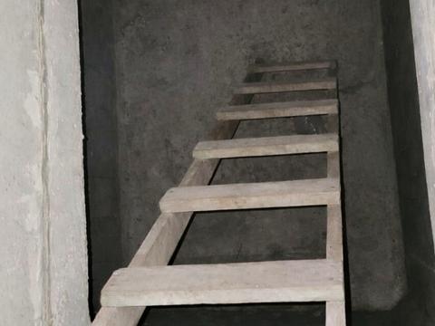 будинок за адресою Ділова