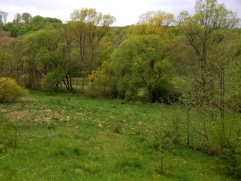 участок по адресу 