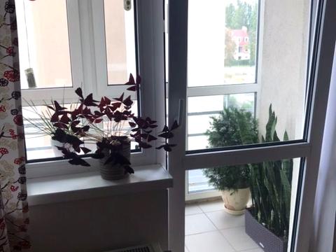 квартира за адресою Метрологічна вул., 113