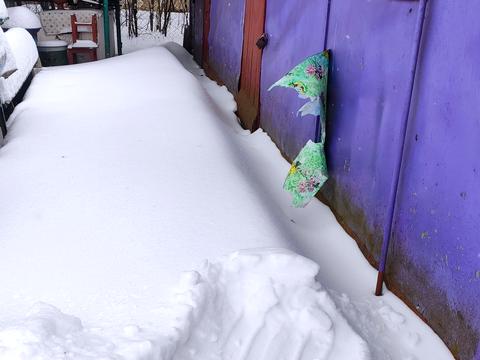 будинок за адресою Польова, 18