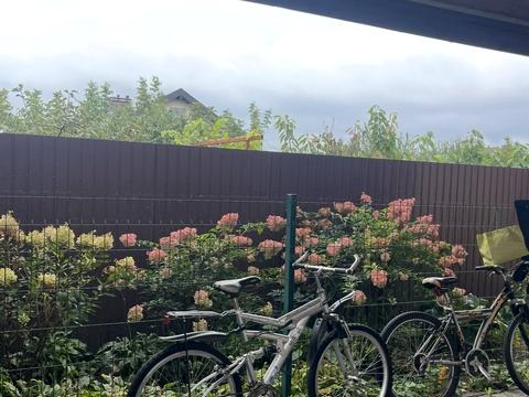 будинок за адресою с. Осещина, Лаймова